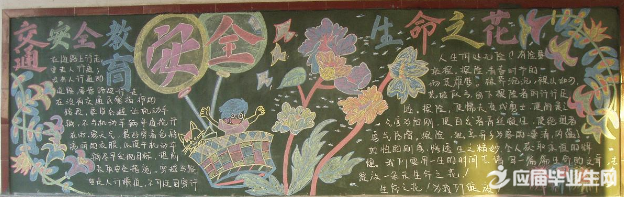 У԰��ȫ�ڰ屨���ݽ���