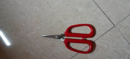 ���Ƿ���������������Ƽ�