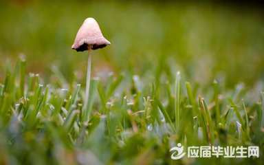 友情爱情感悟人生经短信阅读欣赏参考