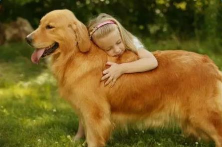 狗的歇后语分享