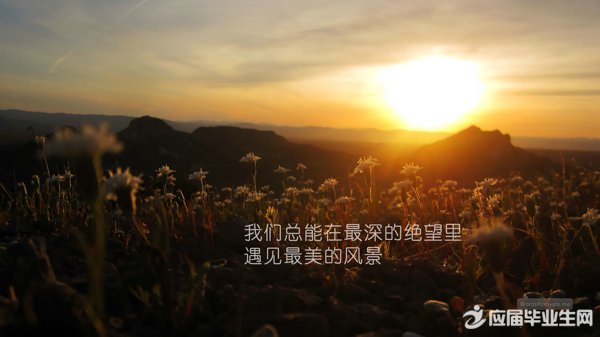 �е��˸еĸ���ǩ��