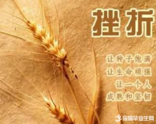 ���е���Ĭϲ��СƷ�籾�������Ӧ�Դ��ۡ�