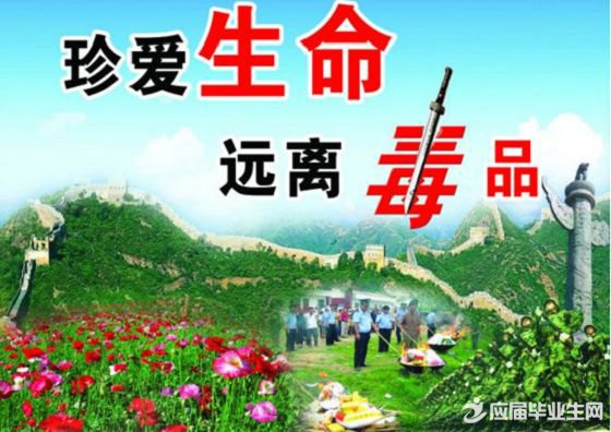 ����΢��Ƶ�籾