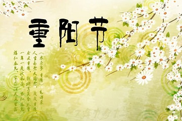 重阳日记300字