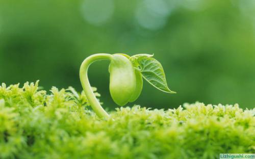 ��ʮ�����׵ľ�ʿ����־����