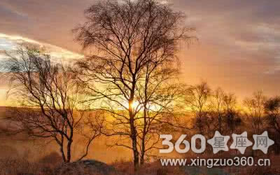 Ĭ���̶���ߵ�����������