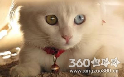 �������������۵�����_������������ô˵