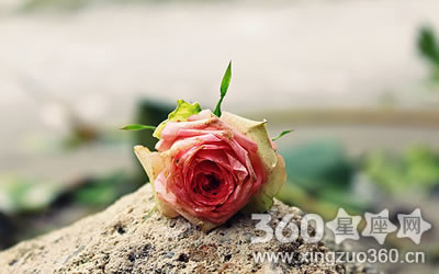 �ַֺϺ� ��Щ��������ǻḴ��