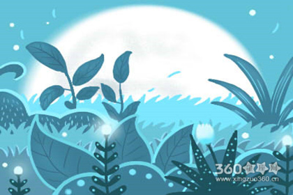 Ů��ȫ���볤�����и� Ů��������������