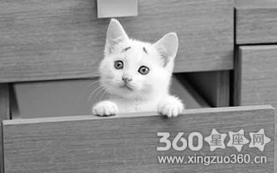 �������������ü�ʺ�ʲô����Ů����