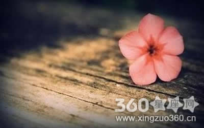 Ů�˱�����ɫ̥����ʲôԢ�� ����̥�Ǻ���