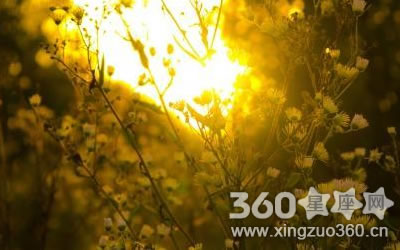 ����üëϡ�ٺò��� ��ʲô˵��