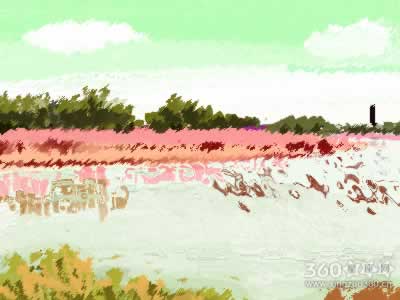 ����̨�����ܹ�������ˮ������