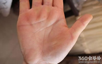 �����ٶ�������ͼ���ȫŮ��