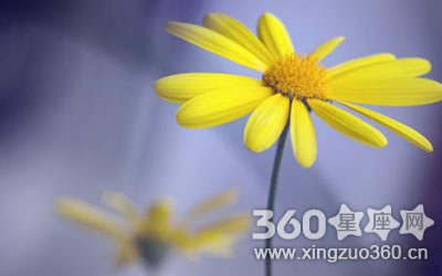 ������������������ʲô˵��