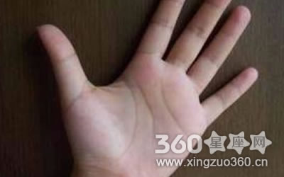 ���������Ҵ���ʲô��˼ ���ƺ���