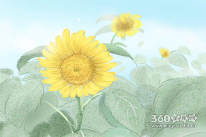 ����Ů�����ϵ���������Ҫ��������