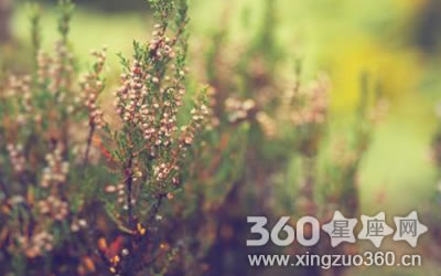 ����ͷ���з�����ʲô����