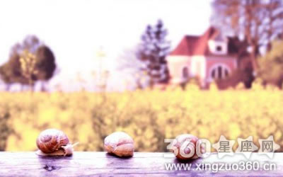 �ƹ��������� Ů���������˺ò���