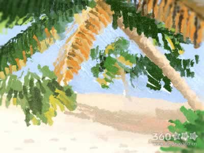 ��ͷ�ߵ���������ô�� �᲻��󸻴��