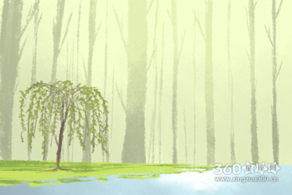 Ů���沿������׼ͼ Ů�˵��붼��������