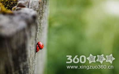 Ů��ͨ������ʲôԭ�������