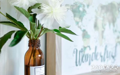 ���������� �ܳ��ٵ�������Щ��������