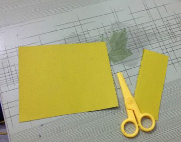 ��ֽ�����������