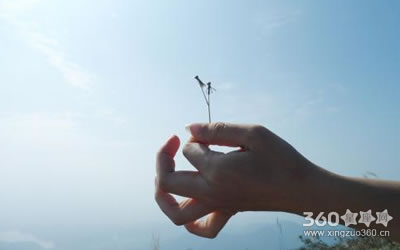 �����ҵ����˿ɼ��� ��������