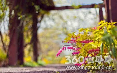 ������� ��Щ�������������Ե