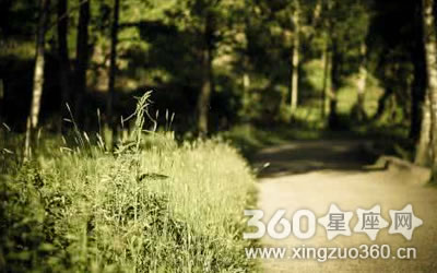 ������� ��Щ�������������Ե