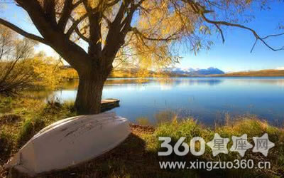 ������� ��Щ�������������Ե