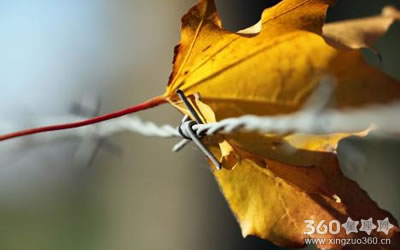 �������˸��˷�����ʲô ��֪����