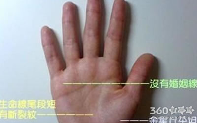 �ǻ��߷ֲ����̵������ò���