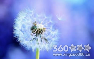 ������֮����Ȼ�����۵��������