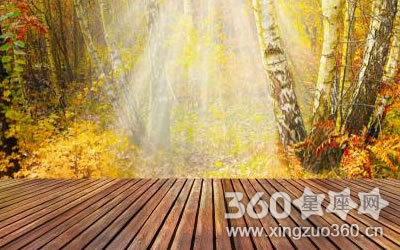 ������֮����Ȼ�����۵��������