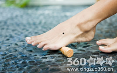 ����������������˽�������ȫͼ��