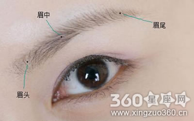 ü����������� Ϊʲô�����ɿ�