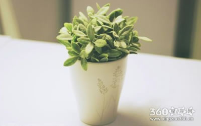 ���������� ϲ����ţ���˵�����