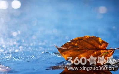 �������ۻ������������������