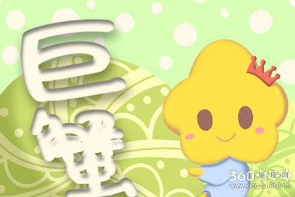 ���ƾ��� ��뵣���ε��Ĵ�����