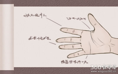 ��Ů�ֱ�����ֱ���ζ��ʲô