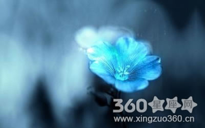 ������ü��Ů�˽�Ǯ����ǿ��