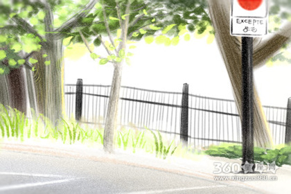 �������ﳤ�����и��� ��������������