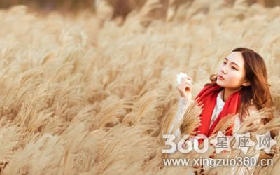 �°������Ů�˾��޶����������