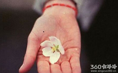 �����������λ��������ͼ��