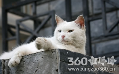 һ�ų��پ������ϰ�ʱ�������