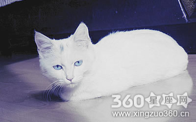 һ�ų��پ������ϰ�ʱ�������