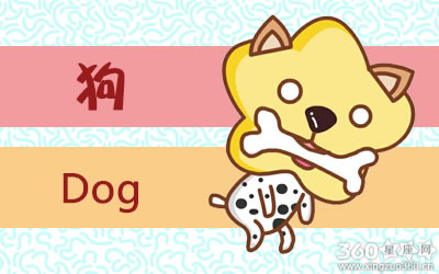 这些生肖一向强势从来不肯示弱