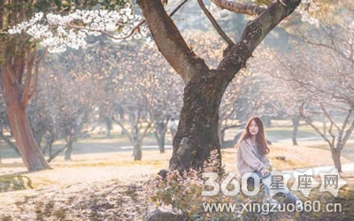 ��������������ϲ��ɧ�ĵ�no.1